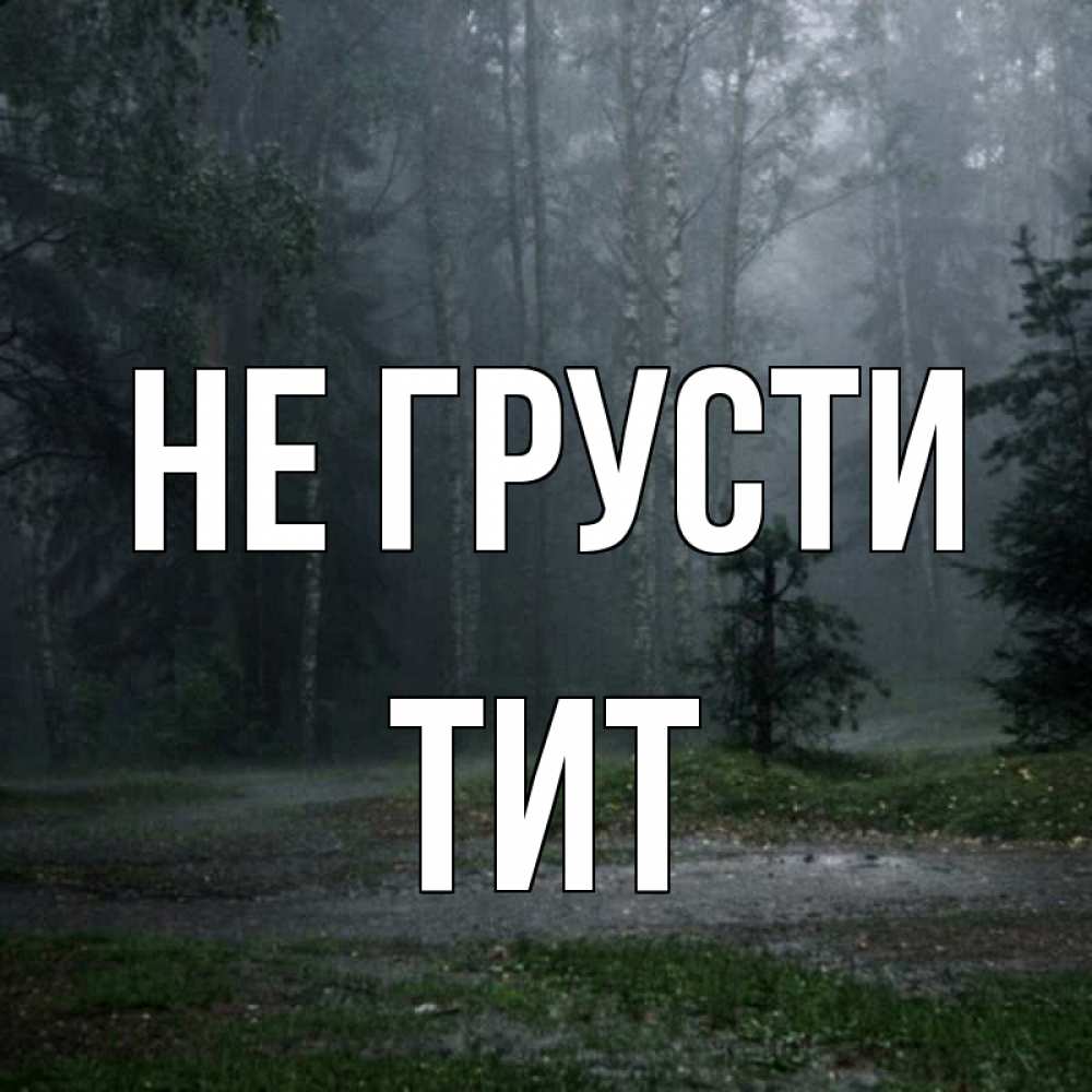 Открытка на каждый день с именем, Тит Не грусти осень Прикольная открытка с пожеланием онлайн скачать бесплатно 