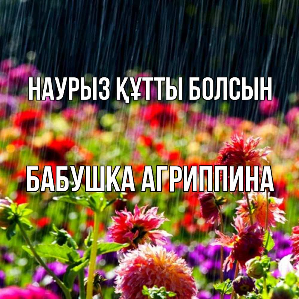 Открытка на каждый день с именем, Бабушка-Агриппина Наурыз құтты болсын цветы под дождиком к наурызу Прикольная открытка с пожеланием онлайн скачать бесплатно 