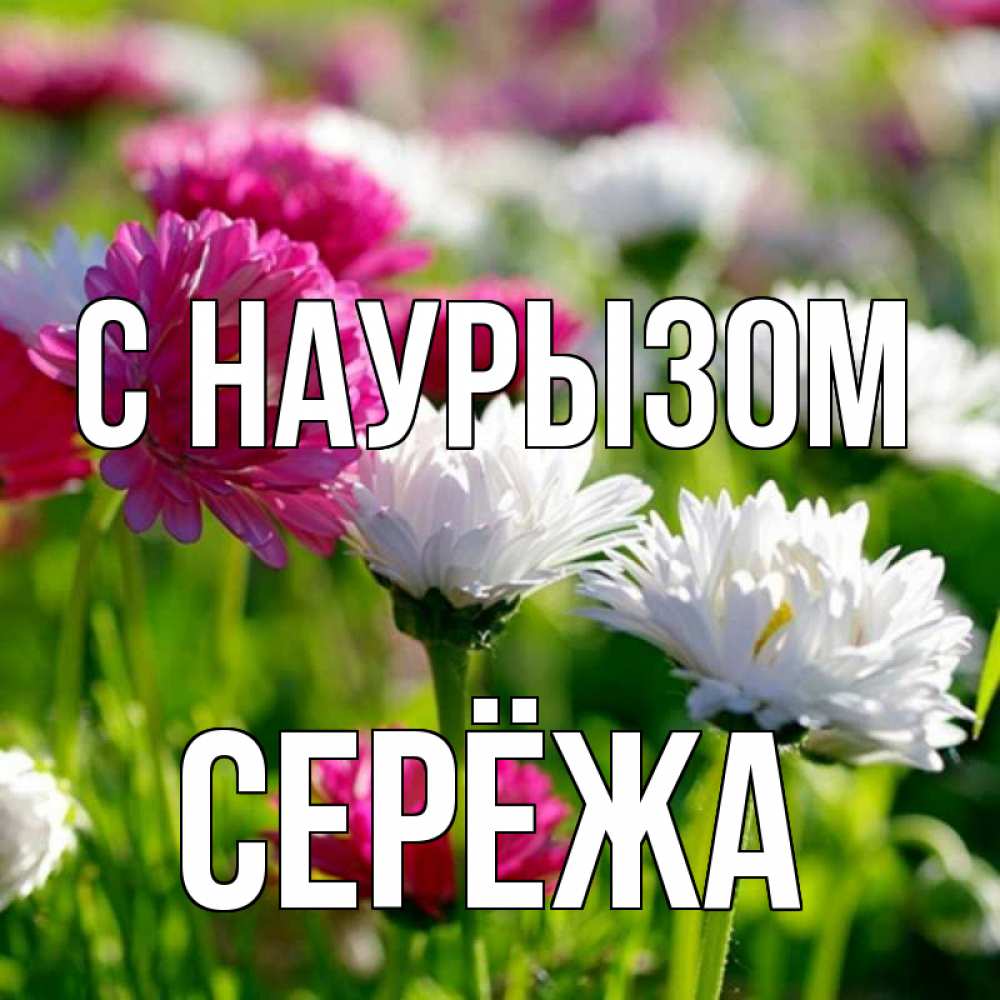 Картинка С наурызом, Серёжа