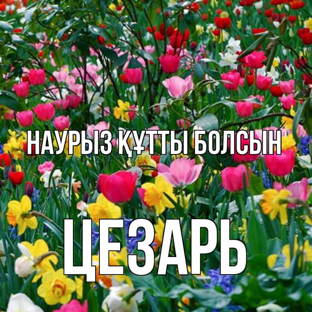 Открытка на каждый день с именем, Цезарь Наурыз құтты болсын с наурызом поздравления для женщины Прикольная открытка с пожеланием онлайн скачать бесплатно 