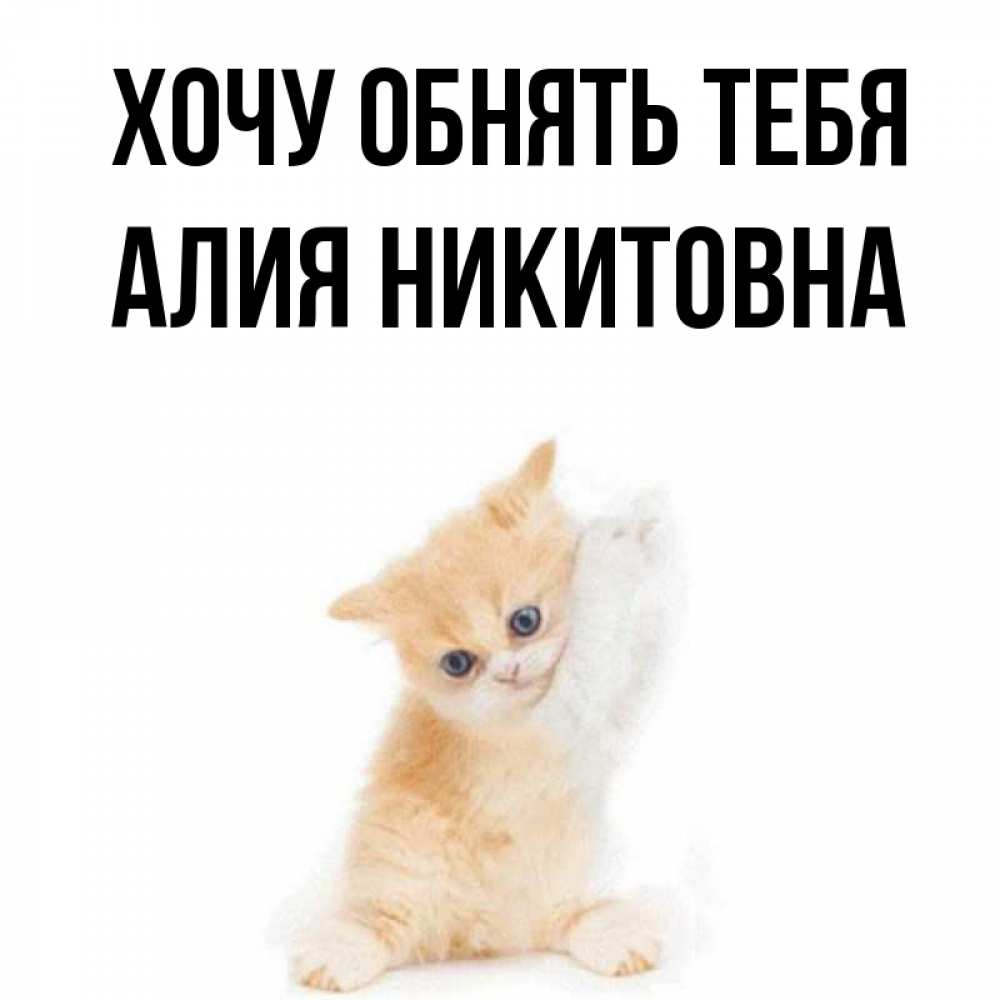 Картинка Хочу обнять тебя, Алия Никитовна