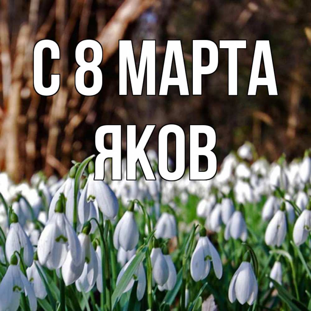 Открытка на каждый день с именем, Яков С 8 МАРТА с подснежниками 1 Прикольная открытка с пожеланием онлайн скачать бесплатно 