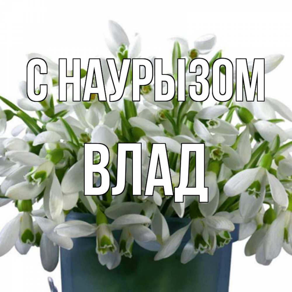 Картинка С наурызом, Влад