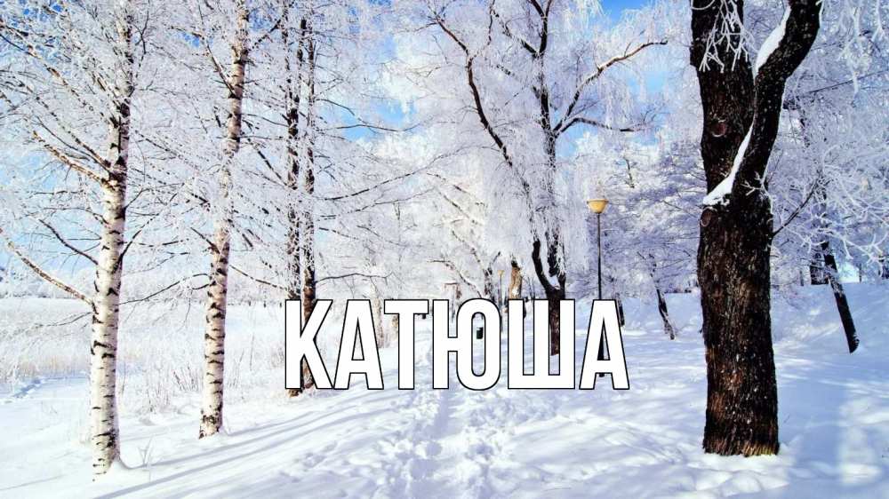 Открытка на каждый день с именем, Катюша Главная зимний лес Прикольная открытка с пожеланием онлайн скачать бесплатно 