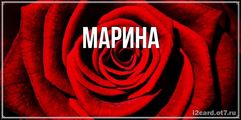 Открытка на каждый день с именем, Марина Главная алая роза Прикольная открытка с пожеланием онлайн скачать бесплатно 