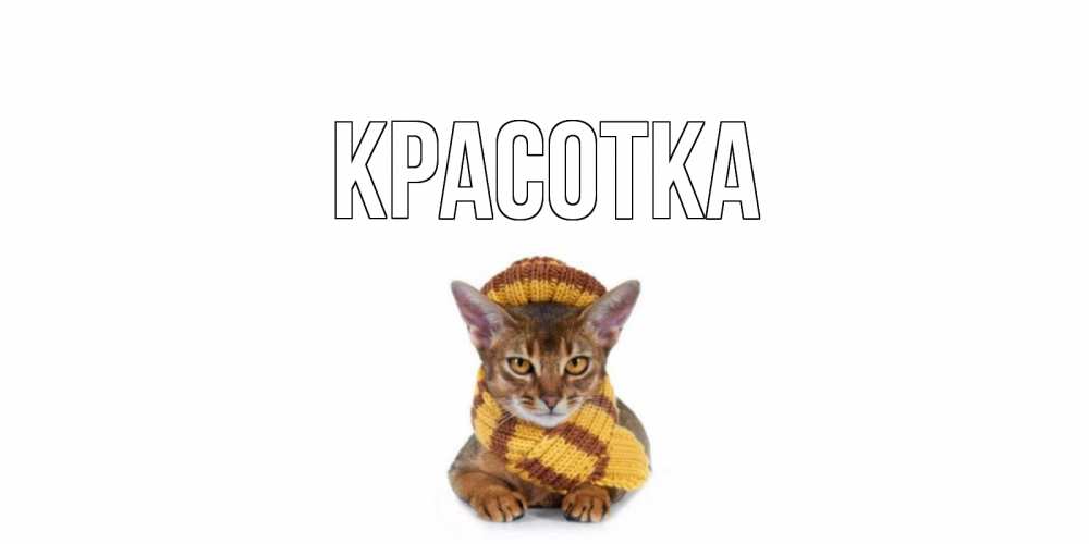 Открытка на каждый день с именем, красотка Главная родные не болейте Прикольная открытка с пожеланием онлайн скачать бесплатно 