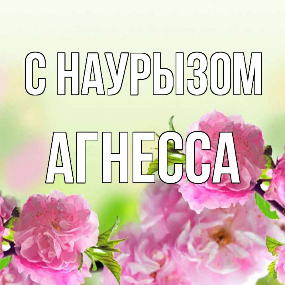 Открытка на каждый день с именем, Агнесса С наурызом цветы Прикольная открытка с пожеланием онлайн скачать бесплатно 
