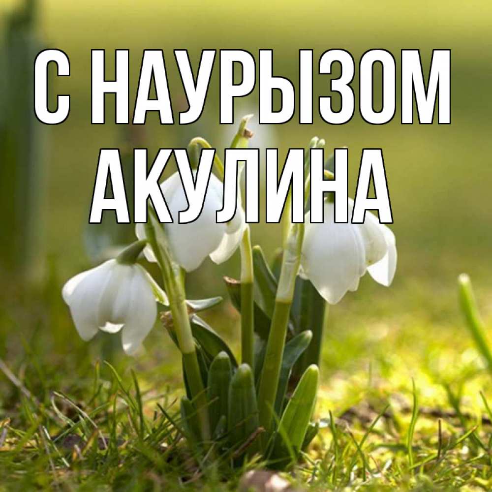 Открытка на каждый день с именем, Акулина С наурызом ранние цветы 2 Прикольная открытка с пожеланием онлайн скачать бесплатно 