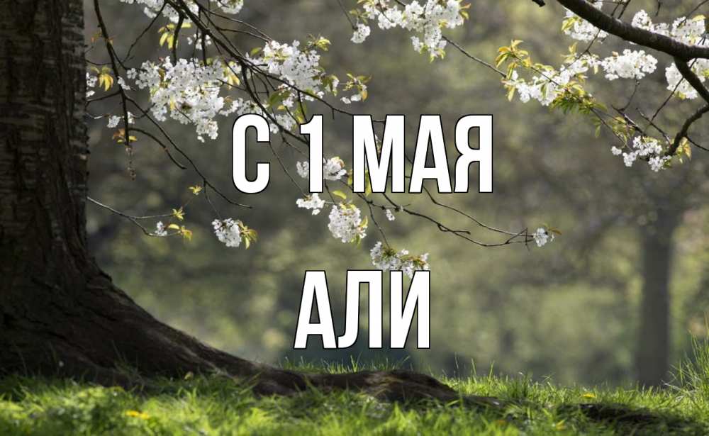 Открытка на каждый день с именем, Али С 1 мая С 1 мая Прикольная открытка с пожеланием онлайн скачать бесплатно 