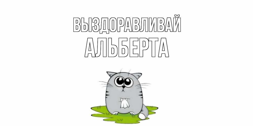 Открытка на каждый день с именем, Альберта Выздоравливай кот и открытки про выздоровление Прикольная открытка с пожеланием онлайн скачать бесплатно 