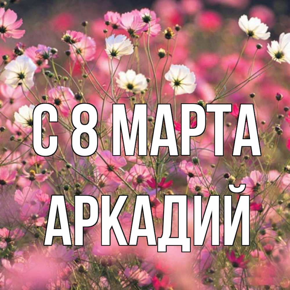 Открытка на каждый день с именем, Аркадий С 8 МАРТА красиво 1 Прикольная открытка с пожеланием онлайн скачать бесплатно 