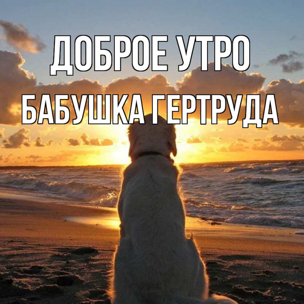 Открытка на каждый день с именем, Бабушка-Гертруда Доброе утро восход солнца Прикольная открытка с пожеланием онлайн скачать бесплатно 