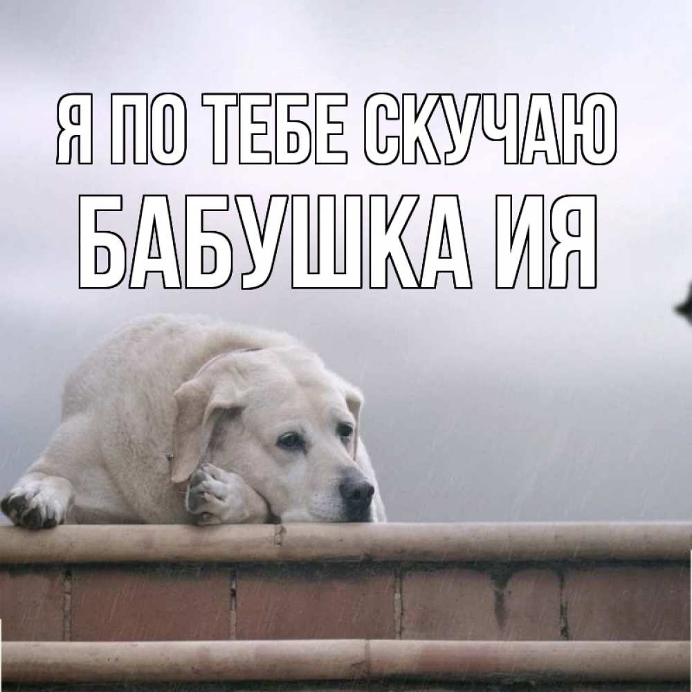 Открытка на каждый день с именем, Бабушка-Ия Я по тебе скучаю ждет Прикольная открытка с пожеланием онлайн скачать бесплатно 