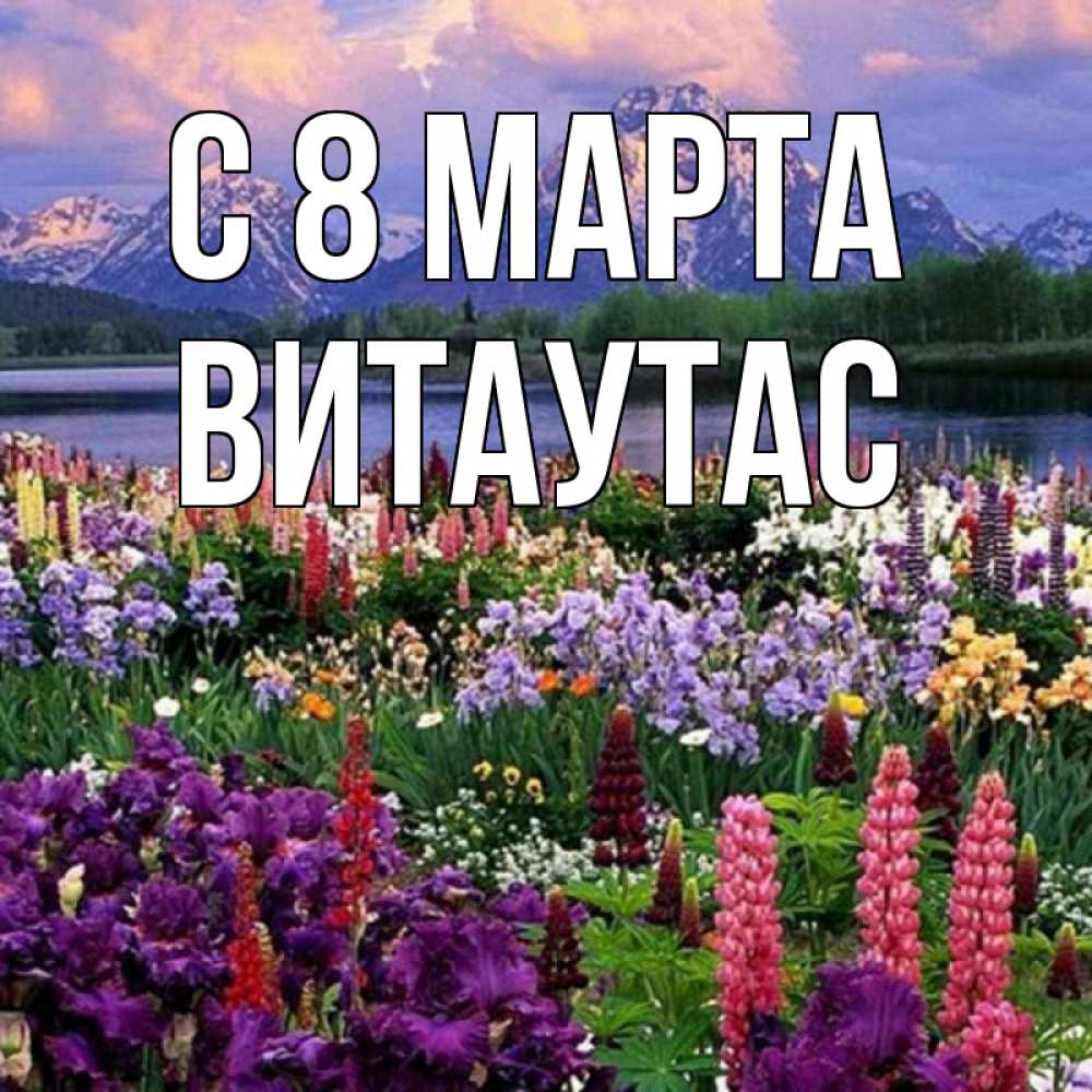 Открытка на каждый день с именем, Витаутас С 8 МАРТА международный женский день Прикольная открытка с пожеланием онлайн скачать бесплатно 