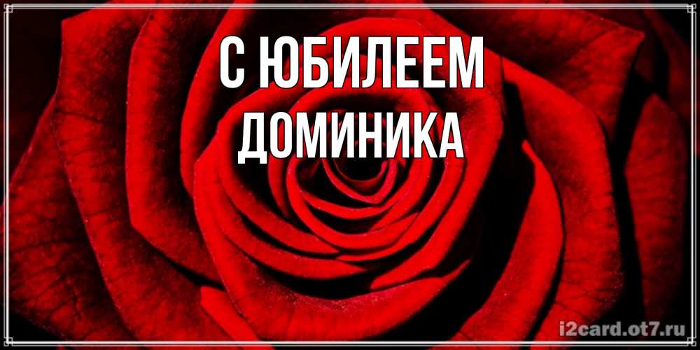 Открытка на каждый день с именем, Доминика С юбилеем алая роза Прикольная открытка с пожеланием онлайн скачать бесплатно 
