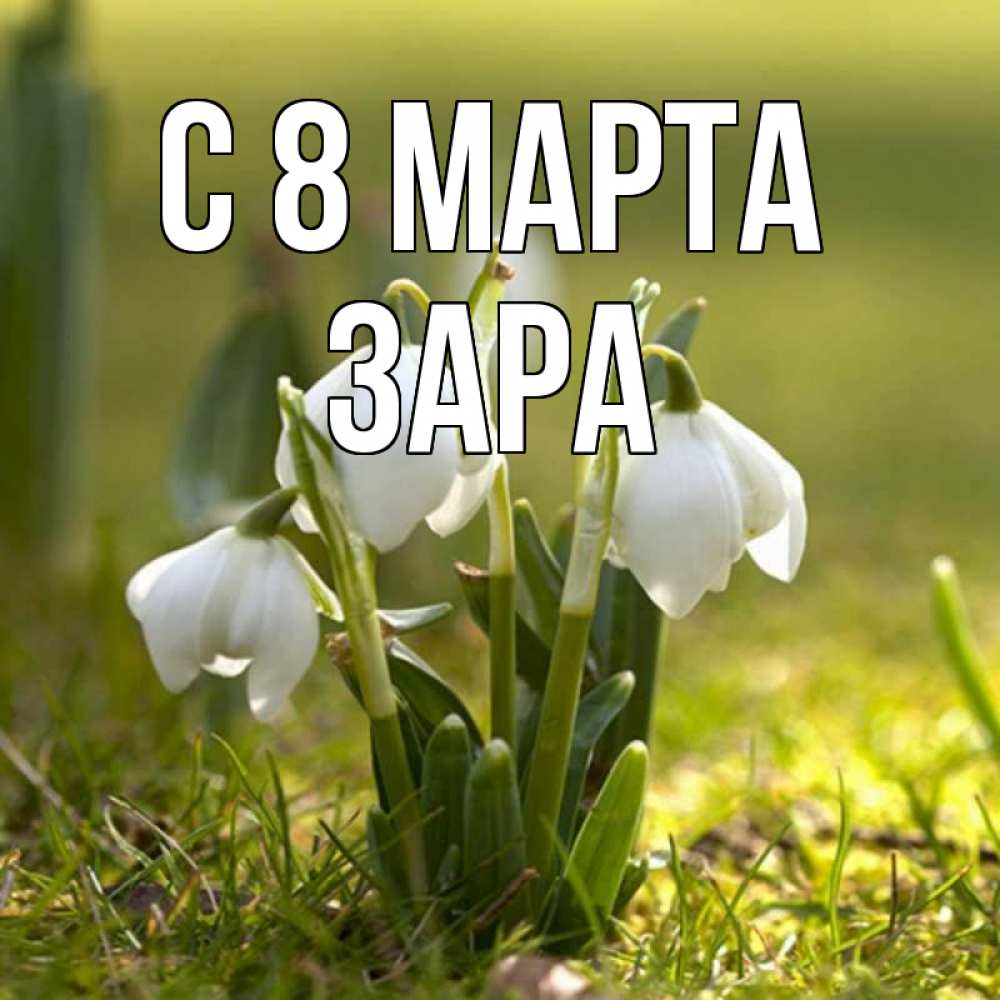 Открытка на каждый день с именем, Зара С 8 МАРТА ранние цветы 2 Прикольная открытка с пожеланием онлайн скачать бесплатно 