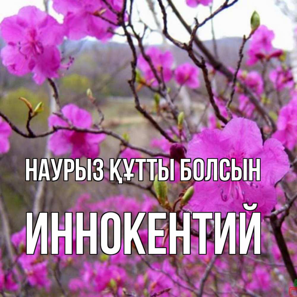 Открытка на каждый день с именем, Иннокентий Наурыз құтты болсын наурыз мейрамы кутты болсын Прикольная открытка с пожеланием онлайн скачать бесплатно 