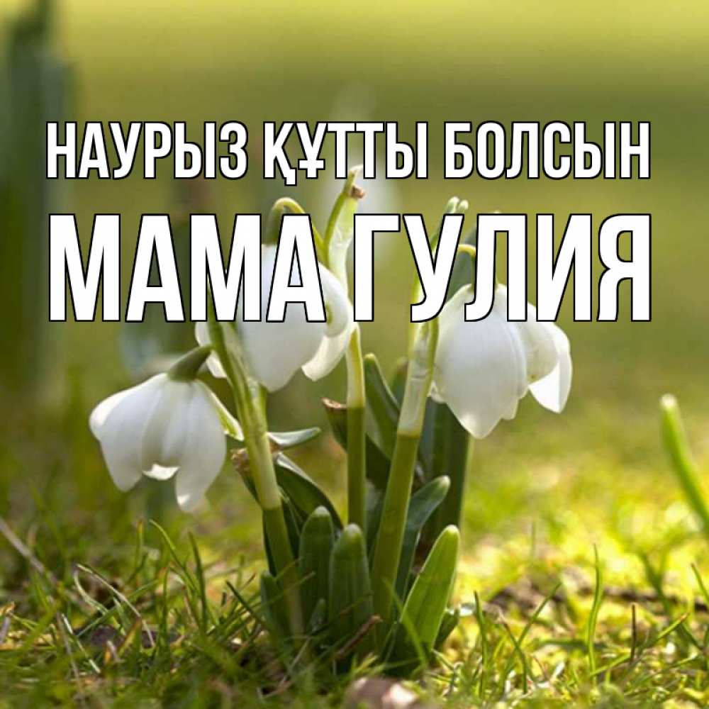 Открытка на каждый день с именем, Мама-Гулия Наурыз құтты болсын ранние цветы 2 Прикольная открытка с пожеланием онлайн скачать бесплатно 