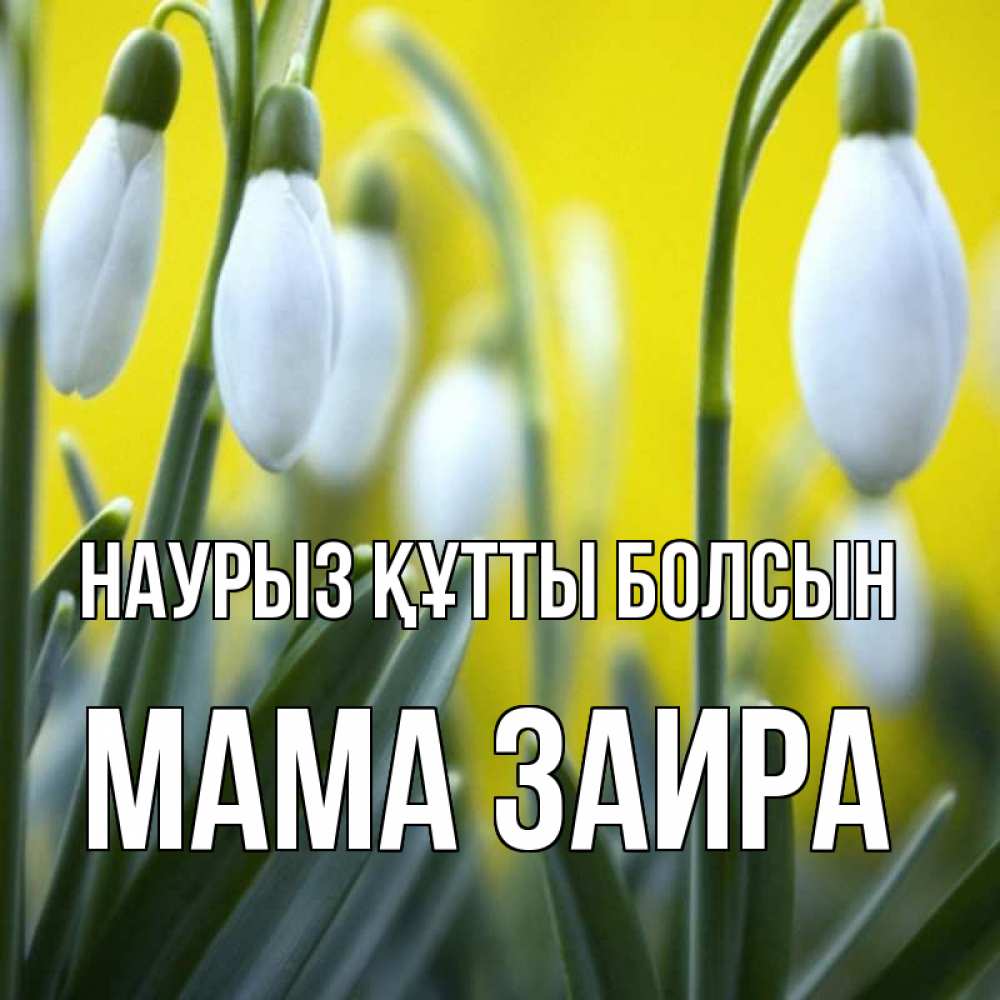 Открытка на каждый день с именем, Мама-Заира Наурыз құтты болсын весенние цветы Прикольная открытка с пожеланием онлайн скачать бесплатно 