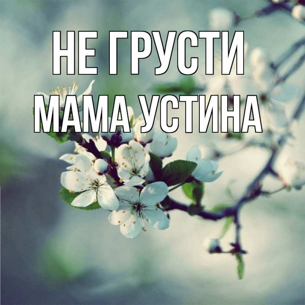 Открытка на каждый день с именем, Мама-Устина Не грусти яблоня в цвету 1 Прикольная открытка с пожеланием онлайн скачать бесплатно 