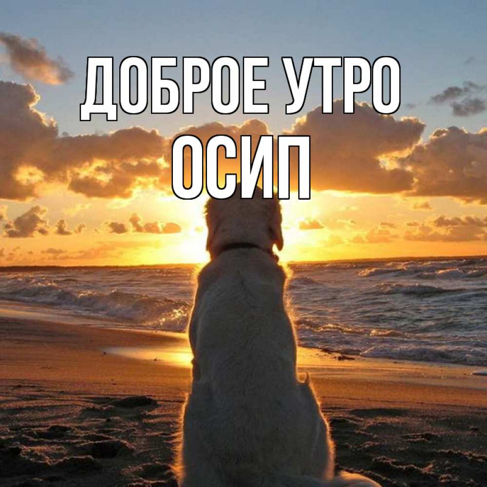 Открытка на каждый день с именем, Осип Доброе утро восход солнца Прикольная открытка с пожеланием онлайн скачать бесплатно 