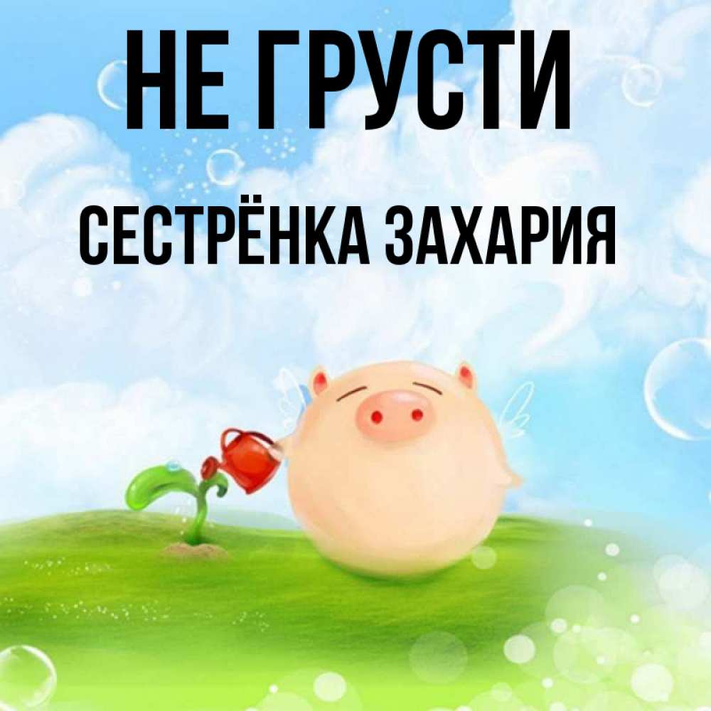 Открытка на каждый день с именем, Сестрёнка-Захария Не грусти поливает цветок порося Прикольная открытка с пожеланием онлайн скачать бесплатно 