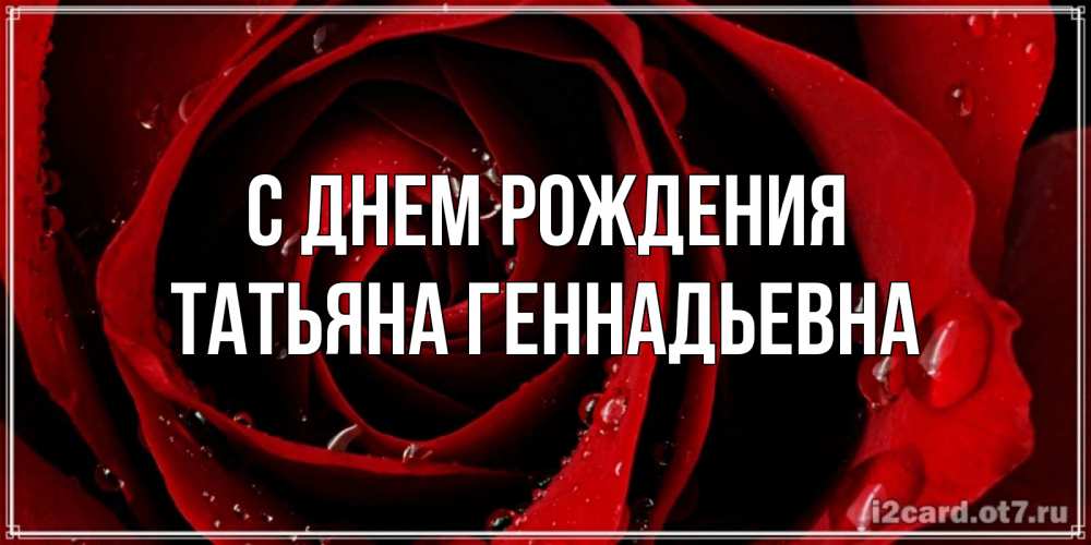 Открытка на каждый день с именем, Татьяна-Геннадьевна С днем рождения крупная бордовая роза Прикольная открытка с пожеланием онлайн скачать бесплатно 