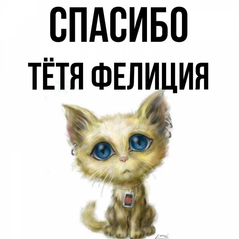 Открытка на каждый день с именем, Тётя-Фелиция Спасибо рисованный кот благодарит вас Прикольная открытка с пожеланием онлайн скачать бесплатно 