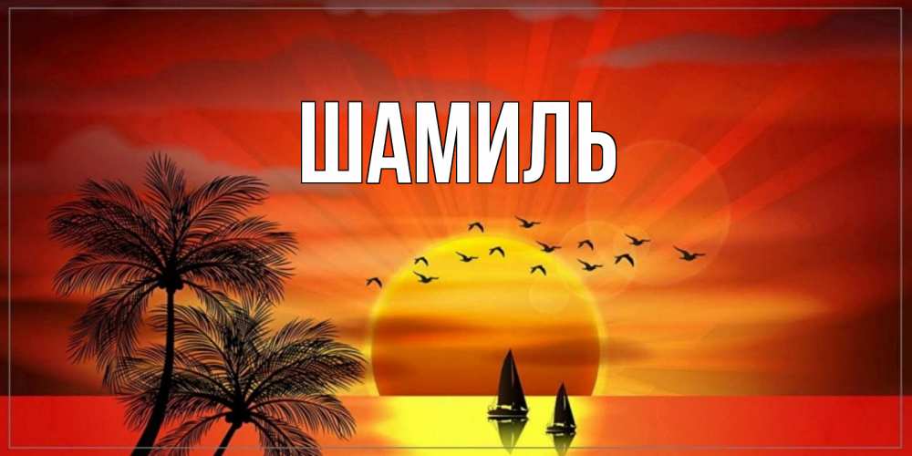 Открытка на каждый день с именем, Шамиль Главная открытки с пожеланиями хорошего дня Прикольная открытка с пожеланием онлайн скачать бесплатно 