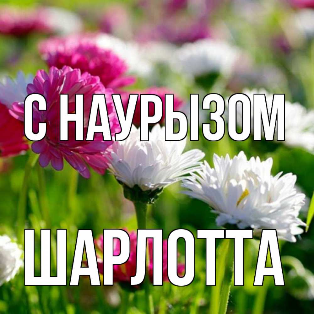 Открытка на каждый день с именем, Шарлотта С наурызом праздник весны наурыз красота Прикольная открытка с пожеланием онлайн скачать бесплатно 