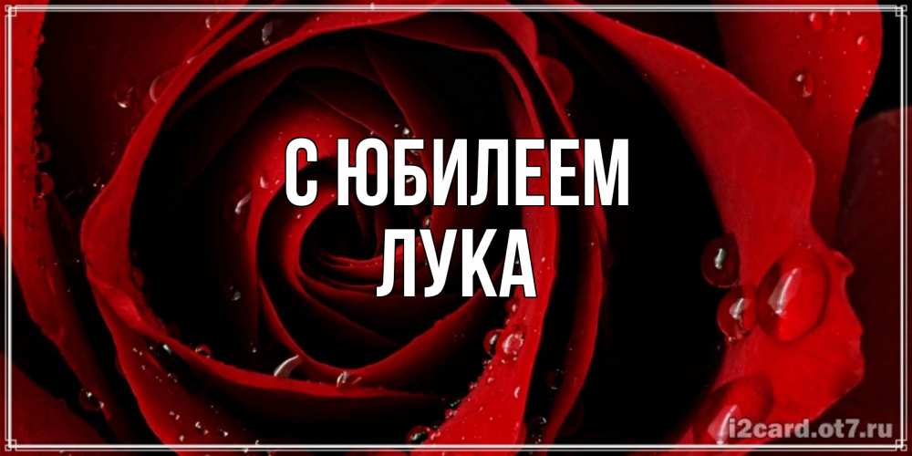 Открытка на каждый день с именем, Лука С юбилеем крупная бордовая роза Прикольная открытка с пожеланием онлайн скачать бесплатно 