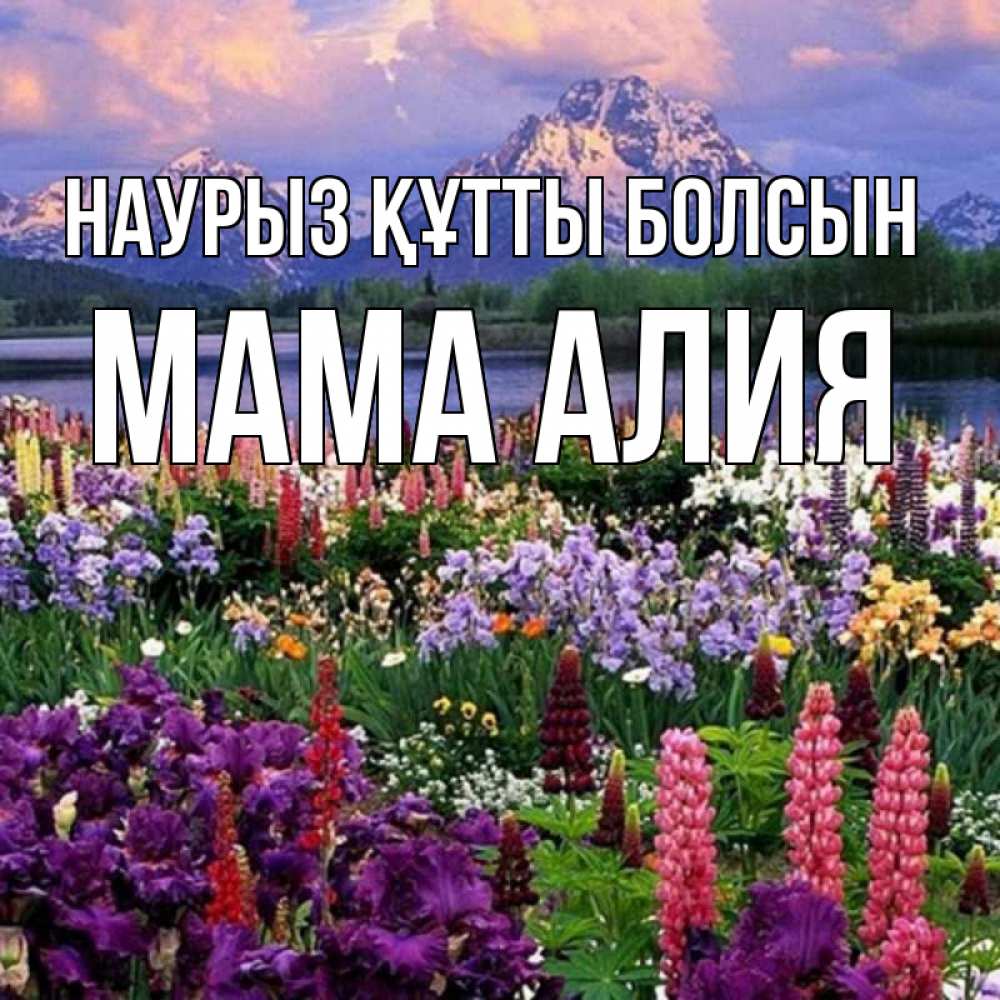 Открытка на каждый день с именем, Мама-Алия Наурыз құтты болсын наурыз Прикольная открытка с пожеланием онлайн скачать бесплатно 