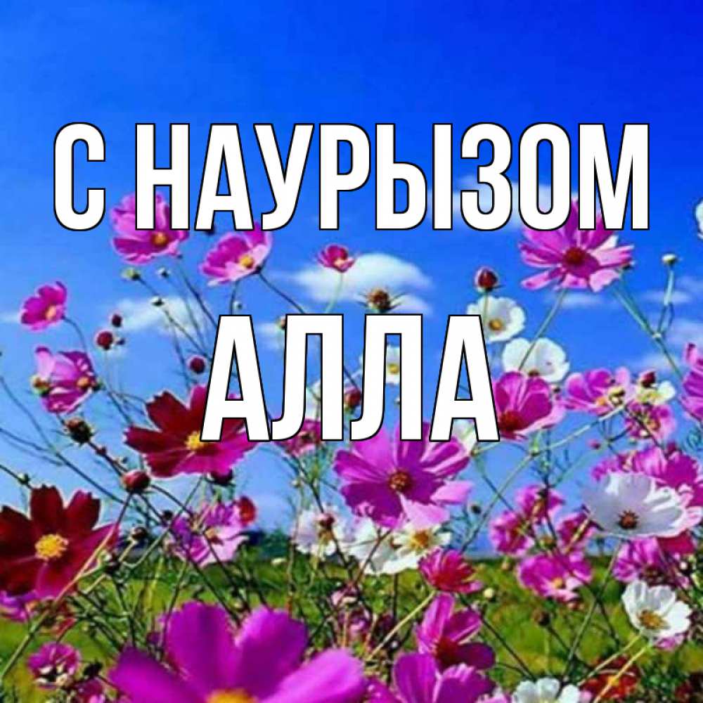 Открытка на каждый день с именем, Алла С наурызом цветы Прикольная открытка с пожеланием онлайн скачать бесплатно 