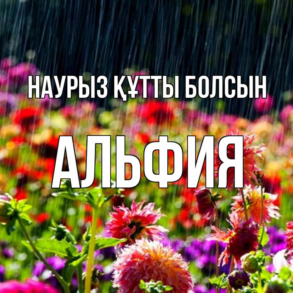 Открытка на каждый день с именем, Альфия Наурыз құтты болсын цветы под дождиком к наурызу Прикольная открытка с пожеланием онлайн скачать бесплатно 