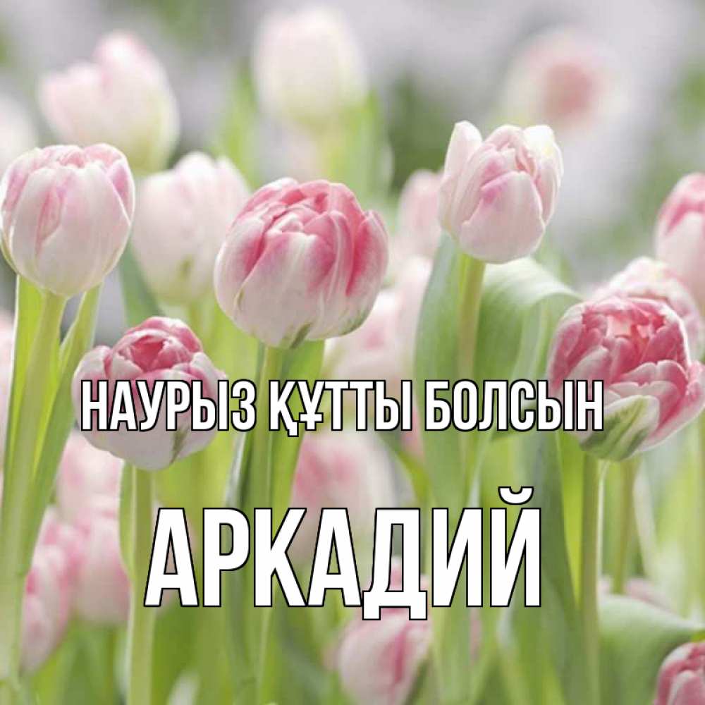 Открытка на каждый день с именем, Аркадий Наурыз құтты болсын цветы Прикольная открытка с пожеланием онлайн скачать бесплатно 