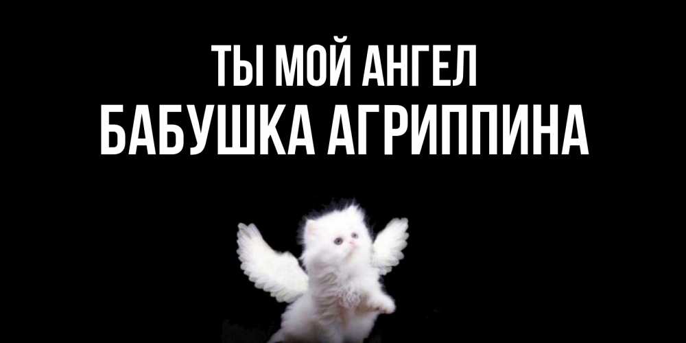 Открытка на каждый день с именем, Бабушка-Агриппина Ты мой ангел Кот ангел Прикольная открытка с пожеланием онлайн скачать бесплатно 