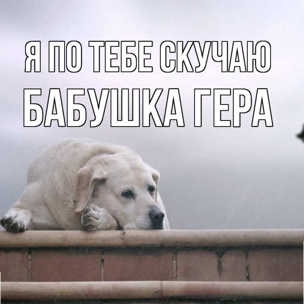Открытка на каждый день с именем, Бабушка-Гера Я по тебе скучаю ждет Прикольная открытка с пожеланием онлайн скачать бесплатно 