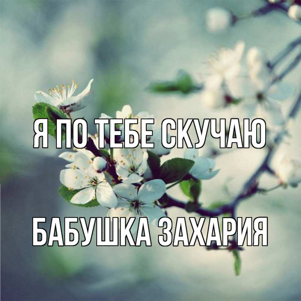 Открытка на каждый день с именем, Бабушка-Захария Я по тебе скучаю весна Прикольная открытка с пожеланием онлайн скачать бесплатно 