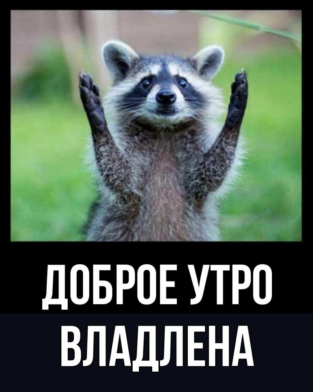 Открытка на каждый день с именем, Владлена Доброе утро хорошее настроение утречком Прикольная открытка с пожеланием онлайн скачать бесплатно 