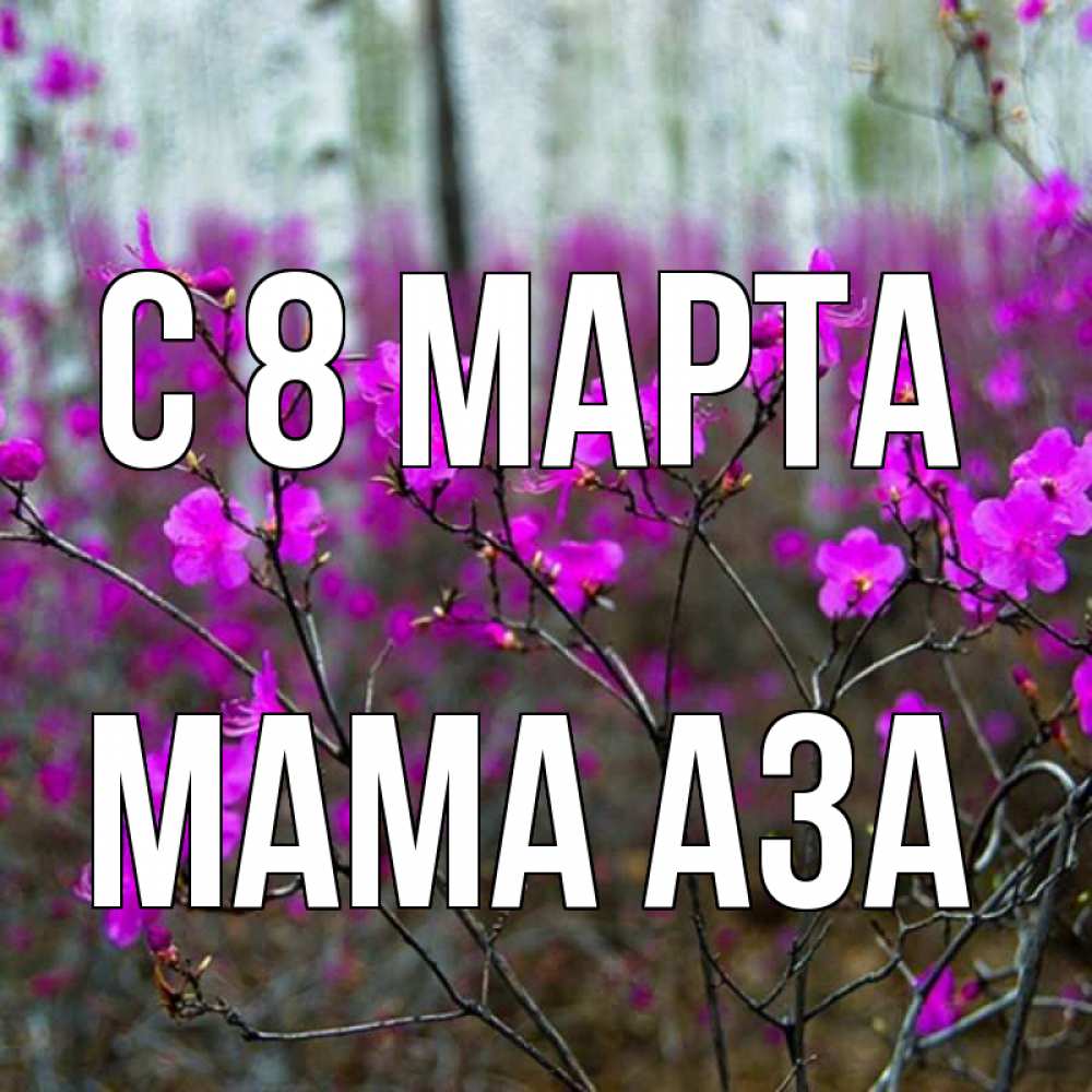 Открытка на каждый день с именем, Мама-Аза С 8 МАРТА дикие цветы Прикольная открытка с пожеланием онлайн скачать бесплатно 