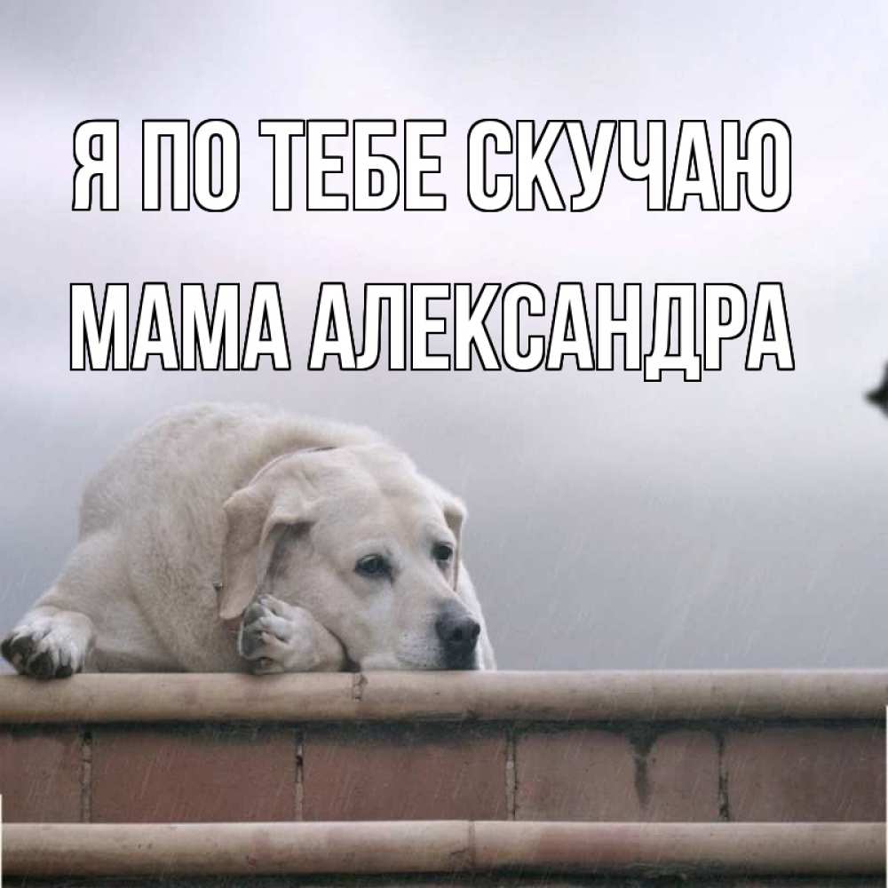 Открытка на каждый день с именем, Мама-Александра Я по тебе скучаю ждет Прикольная открытка с пожеланием онлайн скачать бесплатно 