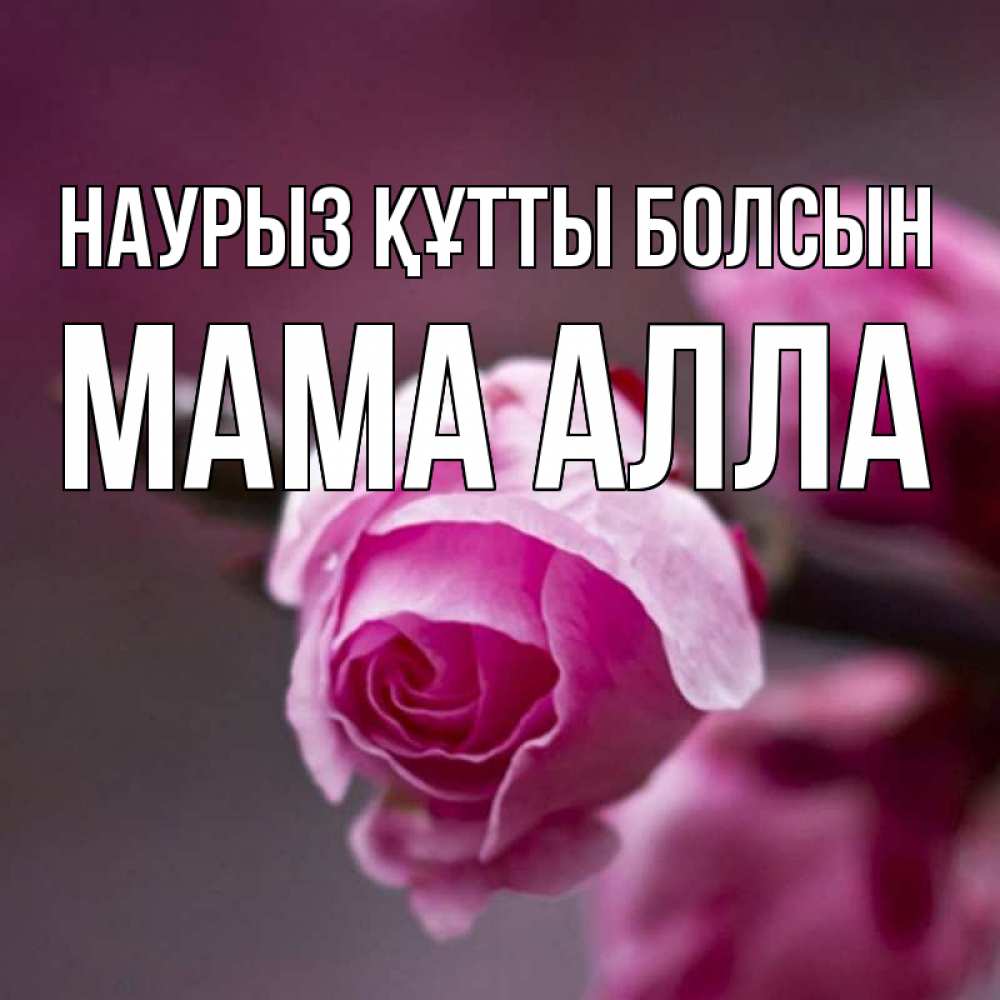 Открытка на каждый день с именем, Мама-Алла Наурыз құтты болсын весна Прикольная открытка с пожеланием онлайн скачать бесплатно 