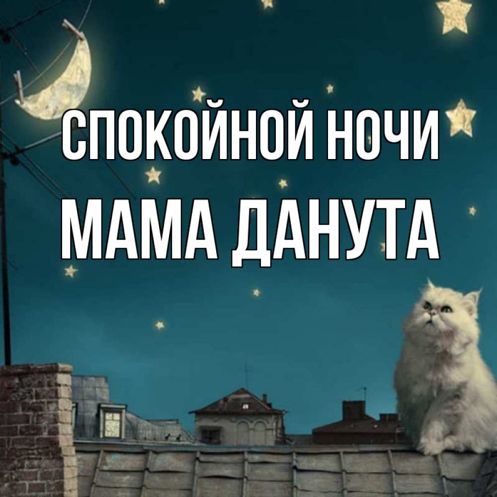 Открытка на каждый день с именем, Мама-Данута Спокойной ночи белый кот сидит на крыше Прикольная открытка с пожеланием онлайн скачать бесплатно 