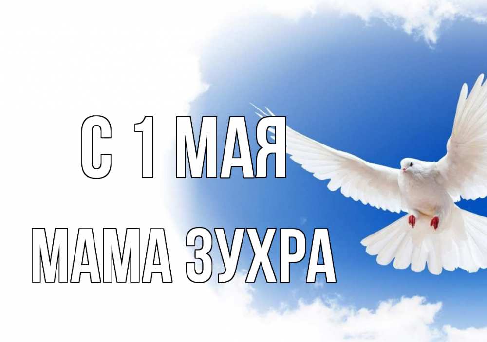 Открытка на каждый день с именем, Мама-Зухра С 1 мая С 1 мая Прикольная открытка с пожеланием онлайн скачать бесплатно 