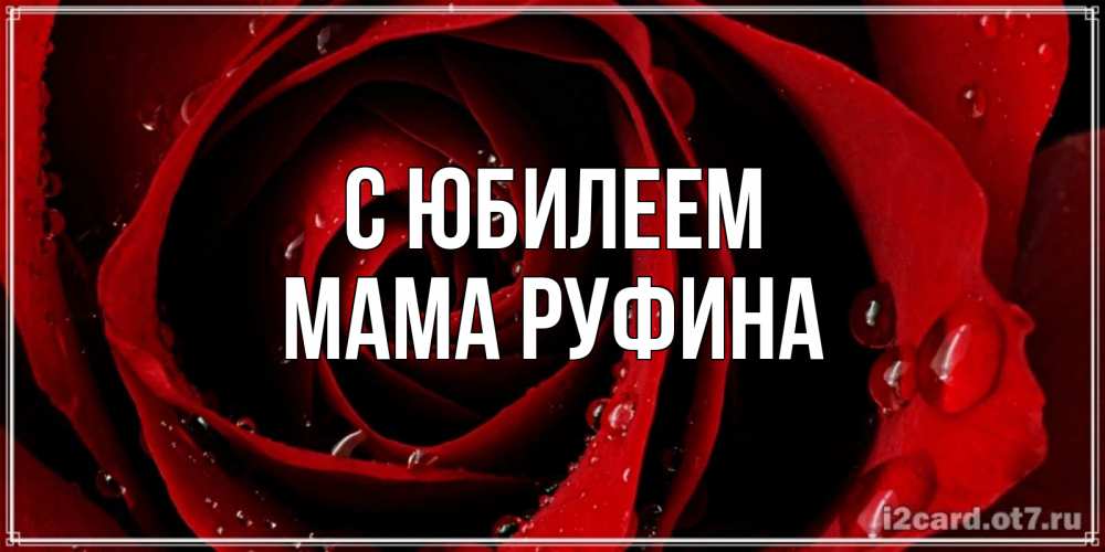 Открытка на каждый день с именем, Мама-Руфина С юбилеем крупная бордовая роза Прикольная открытка с пожеланием онлайн скачать бесплатно 