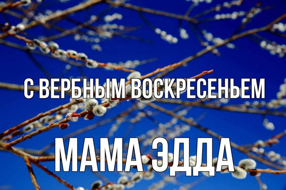 Открытка на каждый день с именем, Мама-Эдда С вербным воскресеньем верба Прикольная открытка с пожеланием онлайн скачать бесплатно 