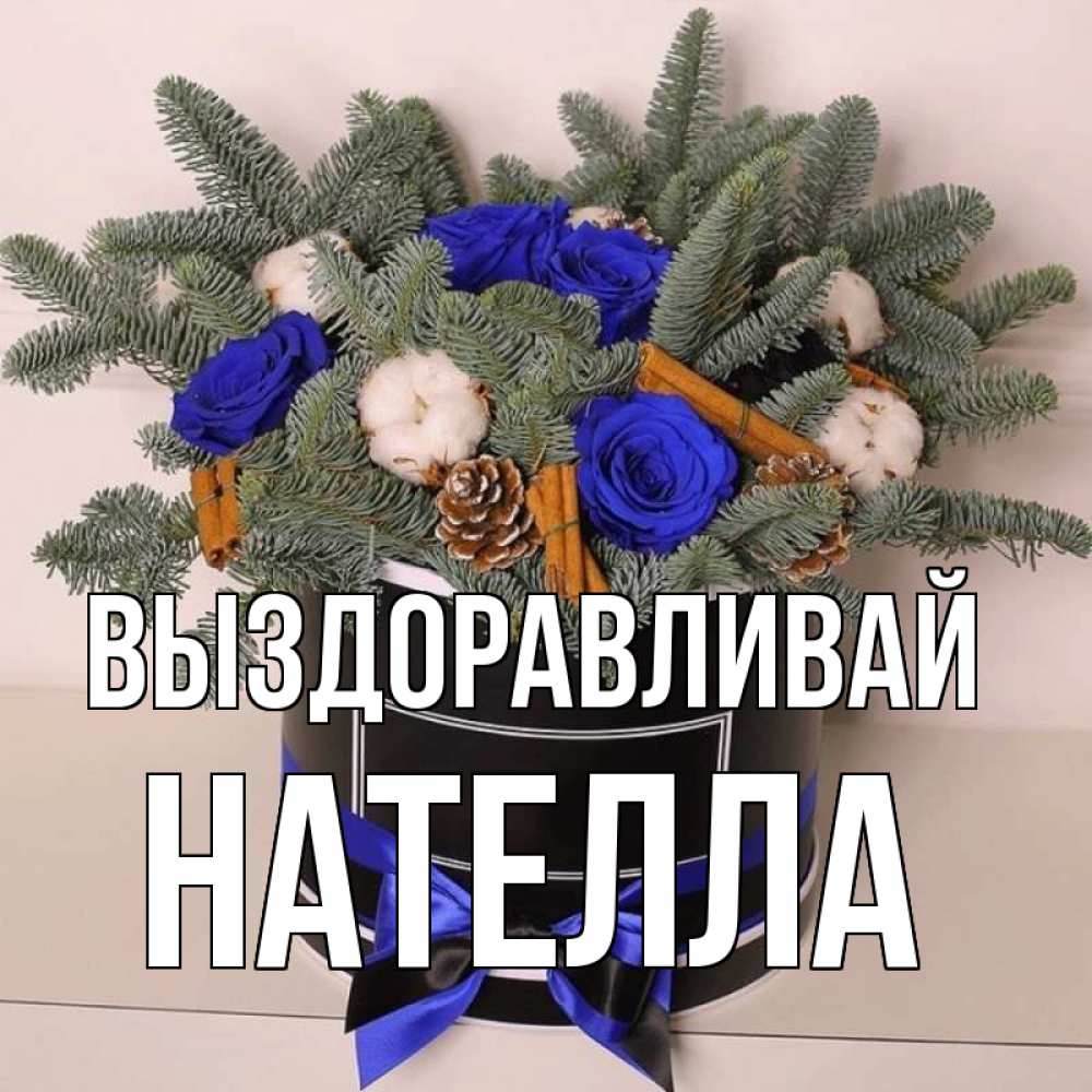 Открытка на каждый день с именем, Нателла Выздоравливай короче кто то загрузил эти шишки Прикольная открытка с пожеланием онлайн скачать бесплатно 