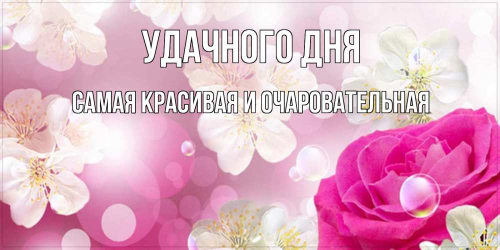 Открытка на каждый день с именем, Самая-красивая-и-очаровательная Удачного дня красивые цветы Прикольная открытка с пожеланием онлайн скачать бесплатно 