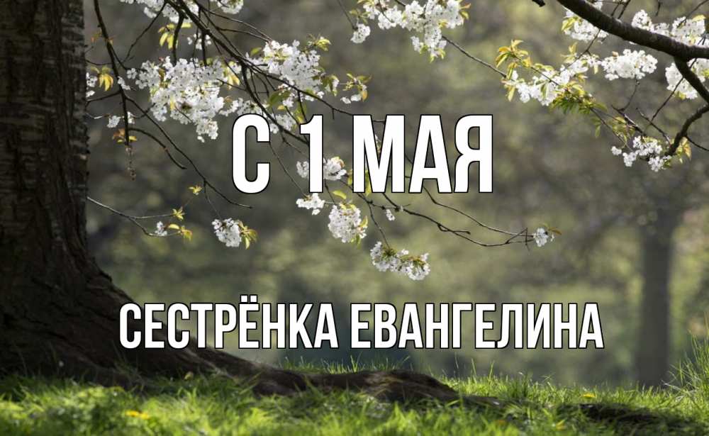 Открытка на каждый день с именем, Сестрёнка-Евангелина С 1 мая С 1 мая Прикольная открытка с пожеланием онлайн скачать бесплатно 