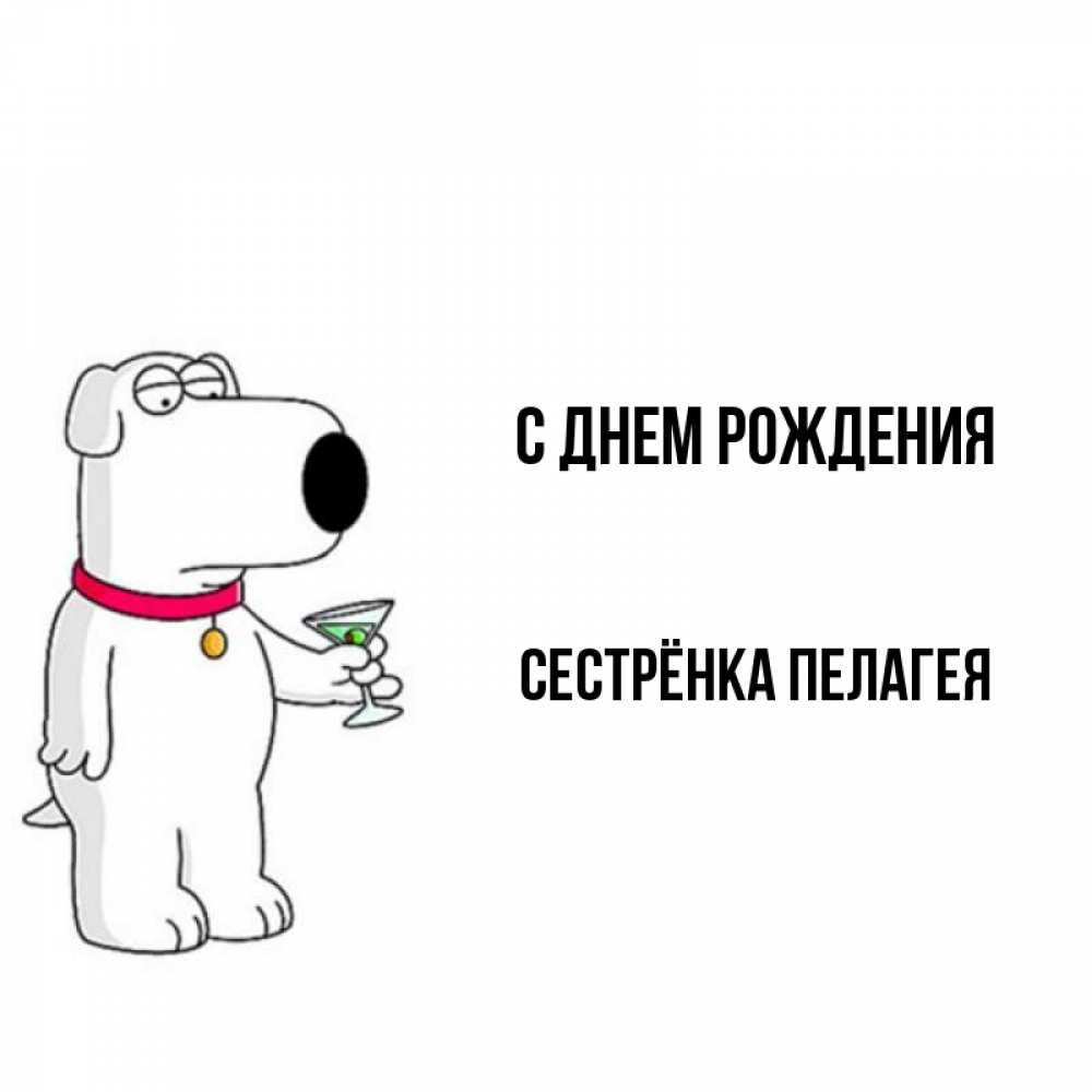 Открытка на каждый день с именем, Сестрёнка-Пелагея С днем рождения песик с оливками Прикольная открытка с пожеланием онлайн скачать бесплатно 